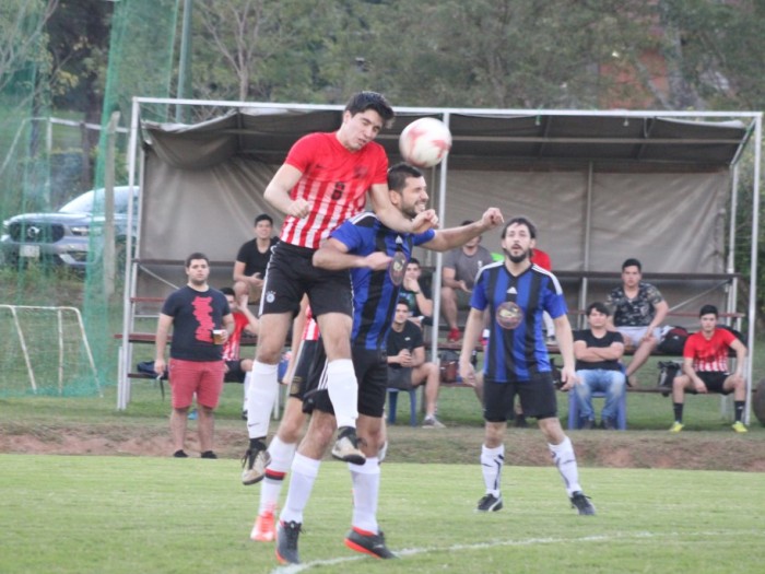 Líder rayado 